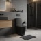 WC-pott SAT Brevis mattmust