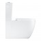 WC-pott Grohe Essence